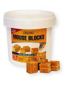 Kaput Mouse Blocks