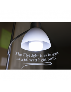 Cleanrth FLYLIGHT Trap LED 75 Watt Daylight Bulb 2