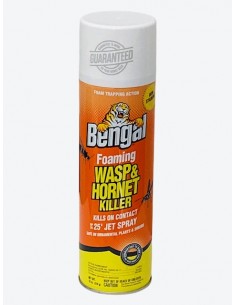 Bengal Foaming Wasp & Hornet Killer