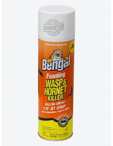 Bengal Foaming Wasp & Hornet Killer