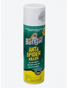 Bengal Ant & Spider Killer