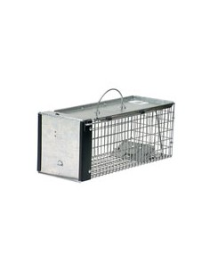 Havahart 1020 Mouse Trap In Action With Pet & Wild Mice. Live Catch Cage  Trap. 