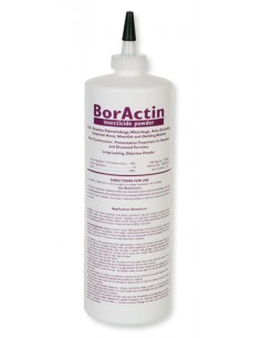 BorActin Boric Acid Insecticide Powder