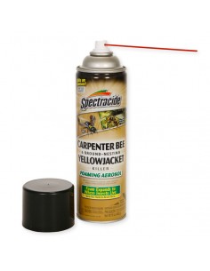 Spectracide Carpenter Bee & Ground Nesting Yellow Jacket Killer Foaming Aerosol