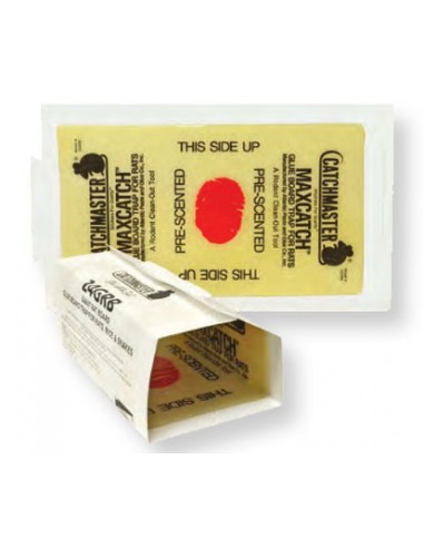 Trapper Max Glue, Glue trap, manufactured from Cardboard