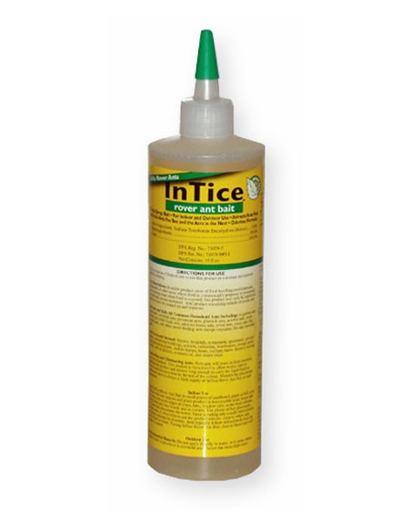 InTice Rover Ant Bait