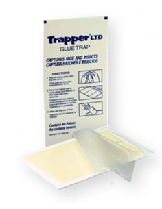 Bell Trapper LTD Glue Trap Mice and Insect