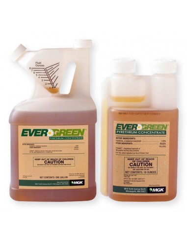 Evergreen Pyrethrum Concentrate