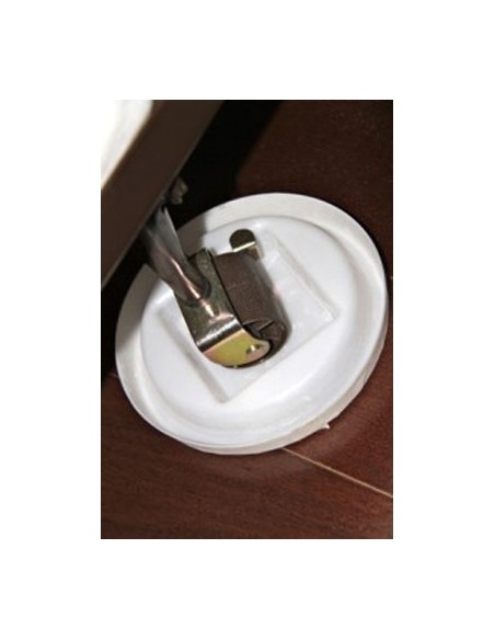 Bed Bug Defender Interceptor