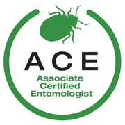 ACE Logo