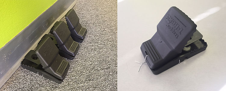 Sandwich Rat Trap Configuration and Rat Trap Wired Open